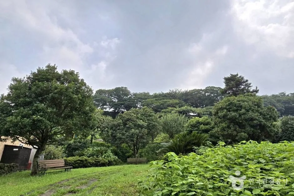 제주 유수암마을_e (7)