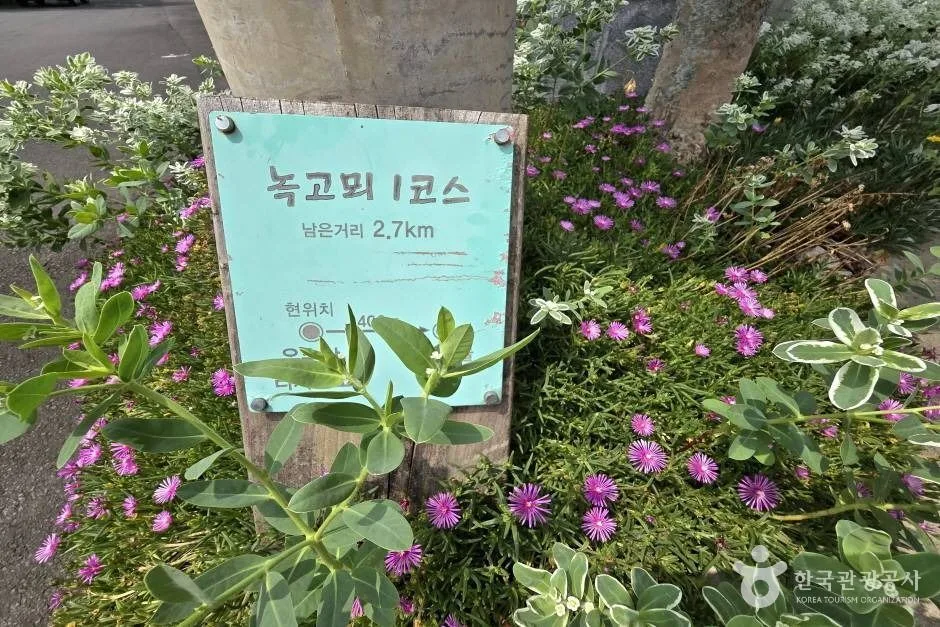 제주 유수암마을_e (32)