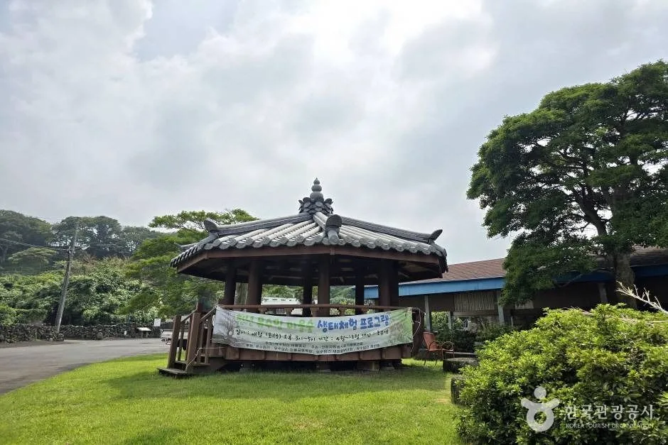 제주 유수암마을_e (19)