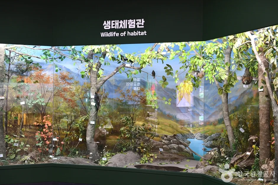 전북_정읍_내장산 탐방안내소 (12)