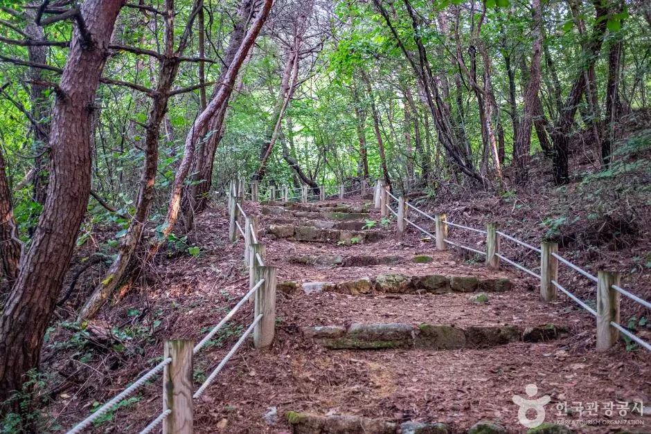 영주_영주 순흥 어숙묘 (1)