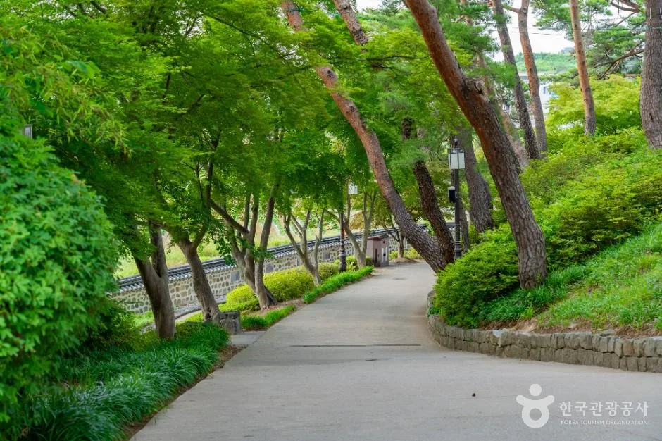 강릉_강릉 경포대 (5)