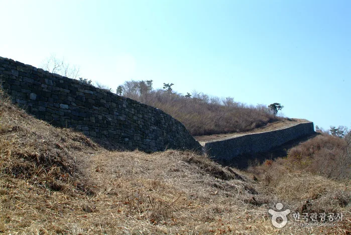 대국산성