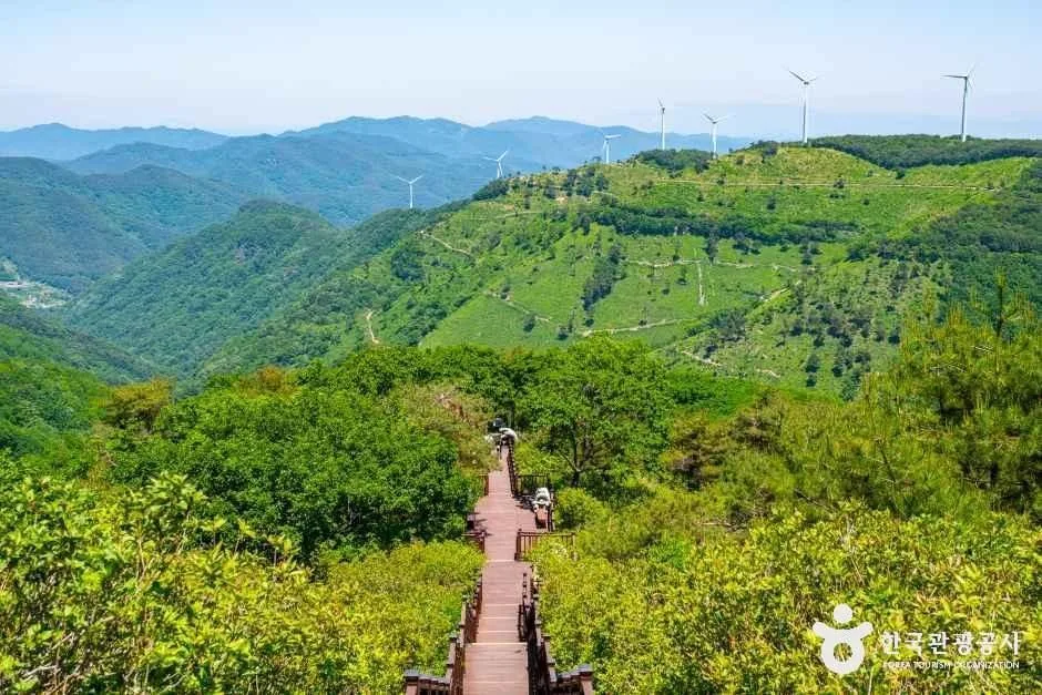 경남_의령_설화원_외부_5.jpg