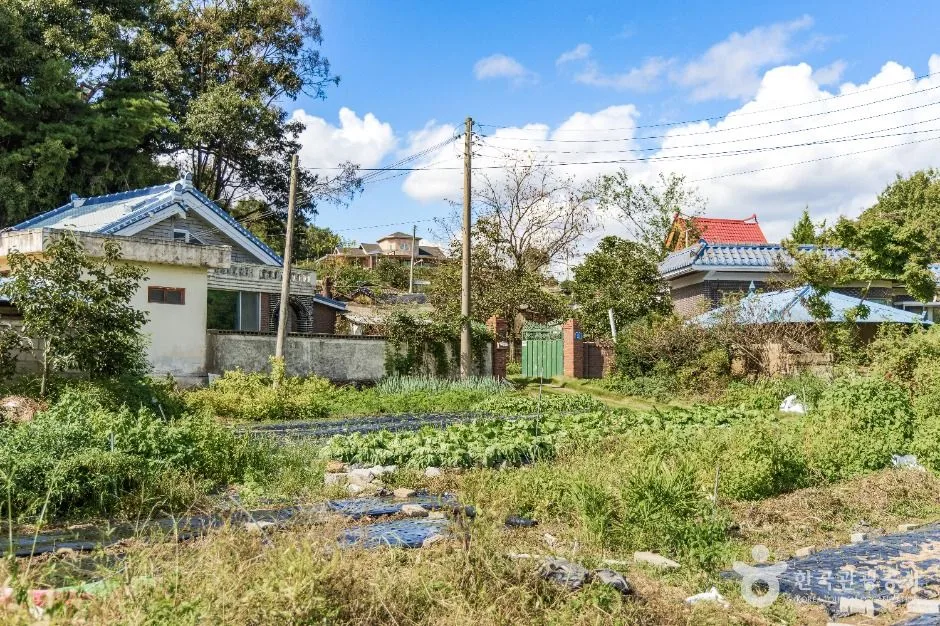 익산_익산 붕새언덕마을 (3)