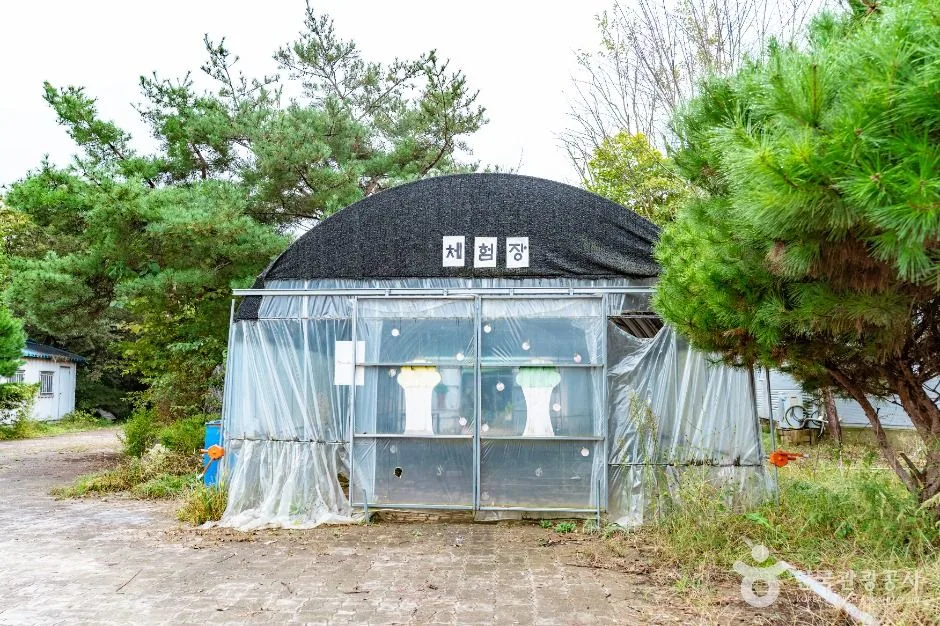 아산_음봉 꾀꼴성마을 (5)