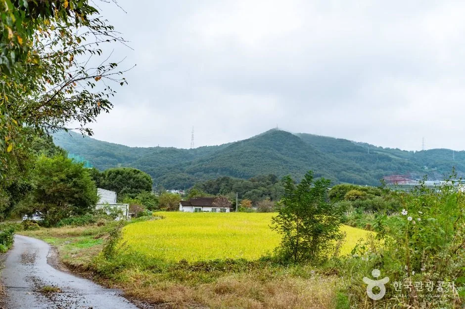 아산_음봉 꾀꼴성마을 (4)