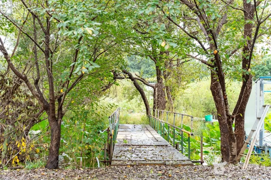 아산_음봉 꾀꼴성마을 (2)