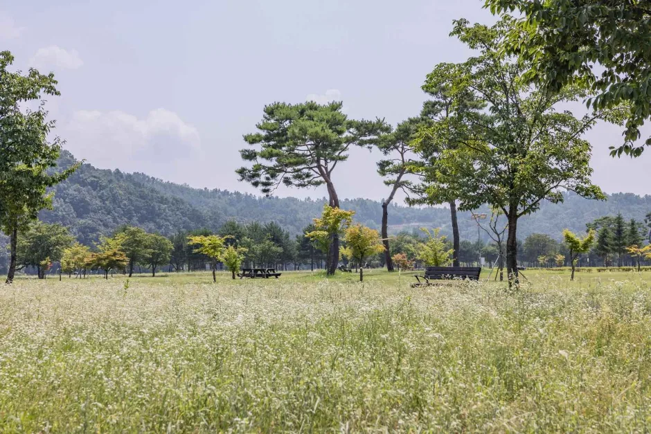 경천섬(경천섬 공원) (2)