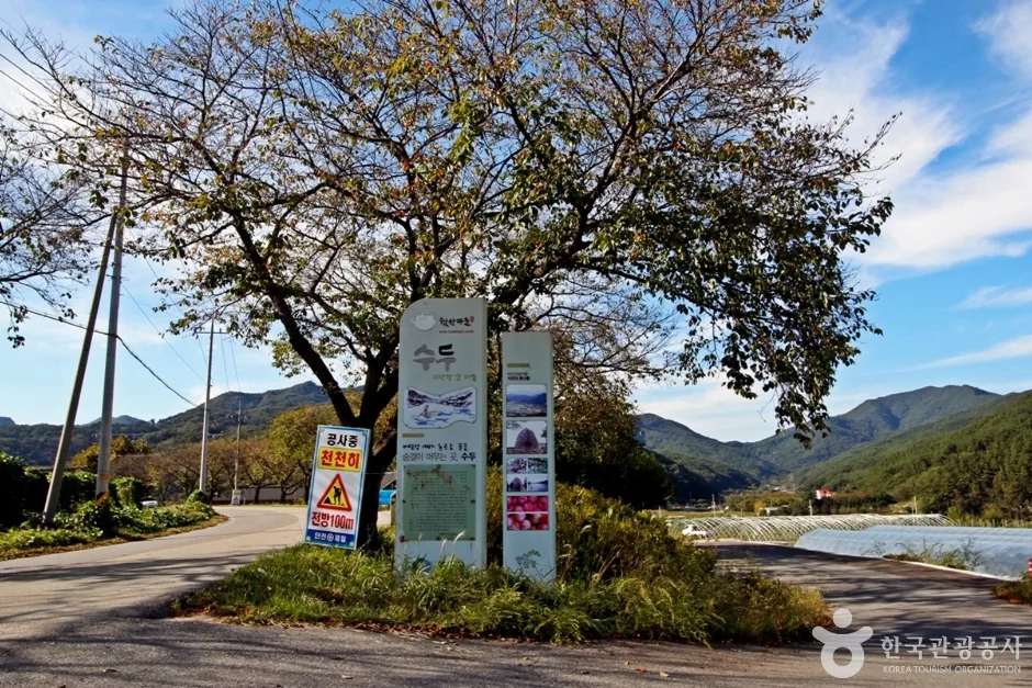 영동 비단강숲마을 (2)