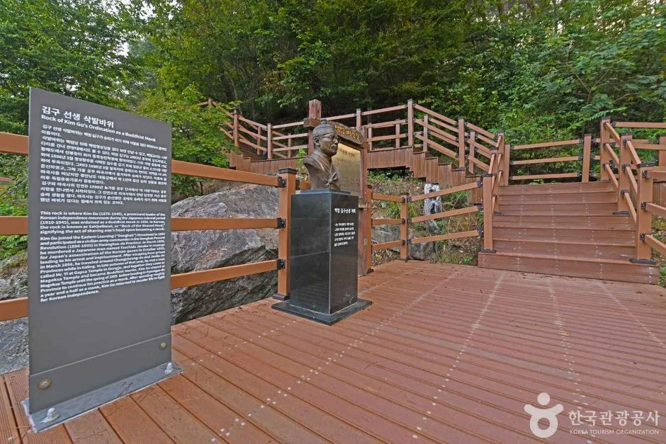 공주_마곡사 천연송림욕장 (5)