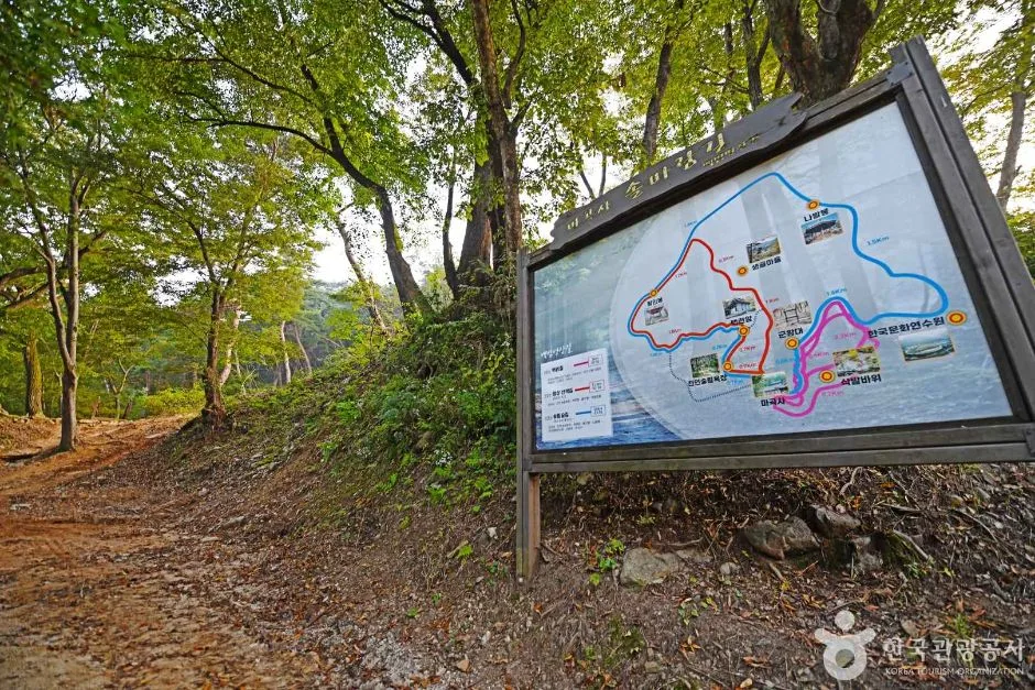 공주_마곡사 천연송림욕장 (4)