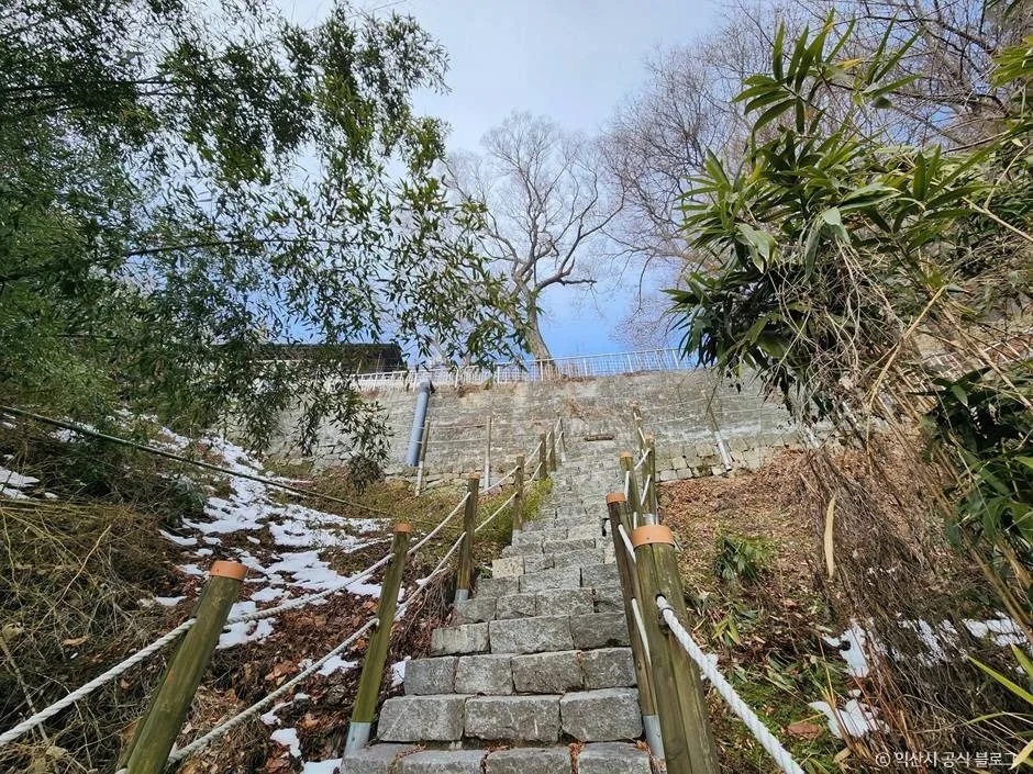 익산_사자사(사자암) (2)