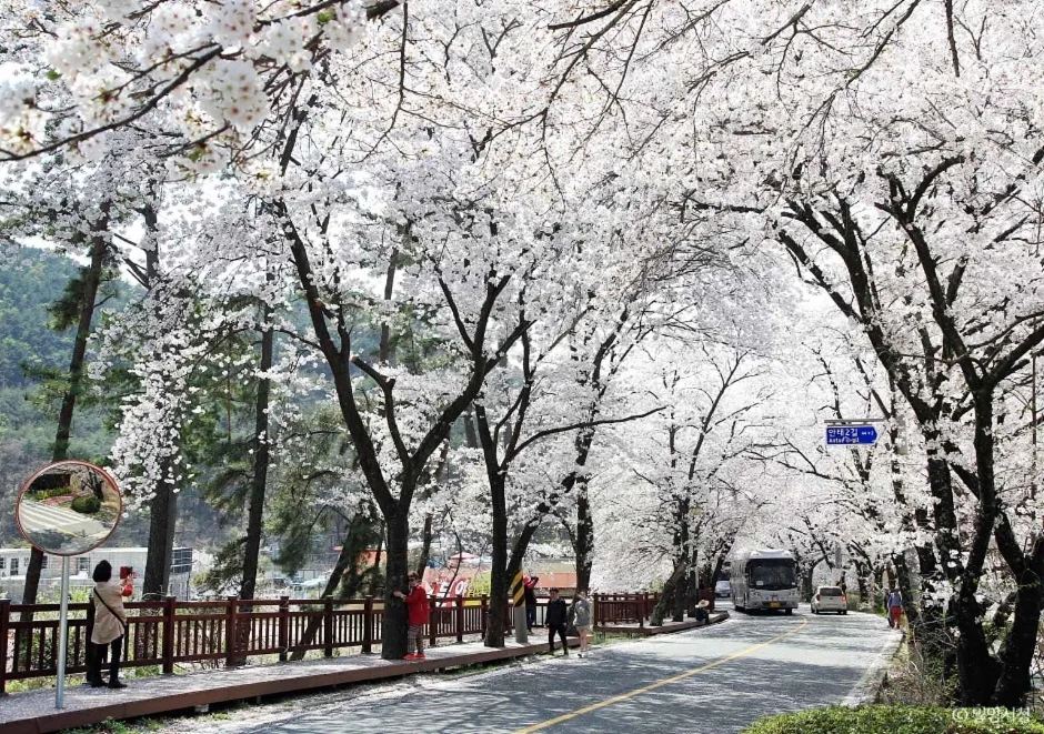 안태공원 (6)