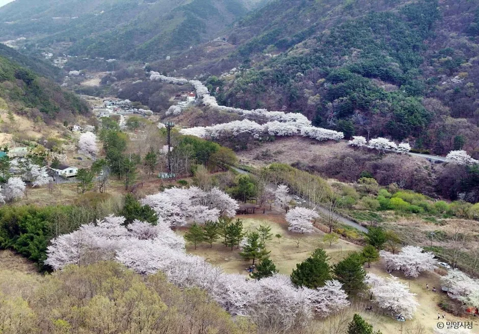 안태공원 (3)