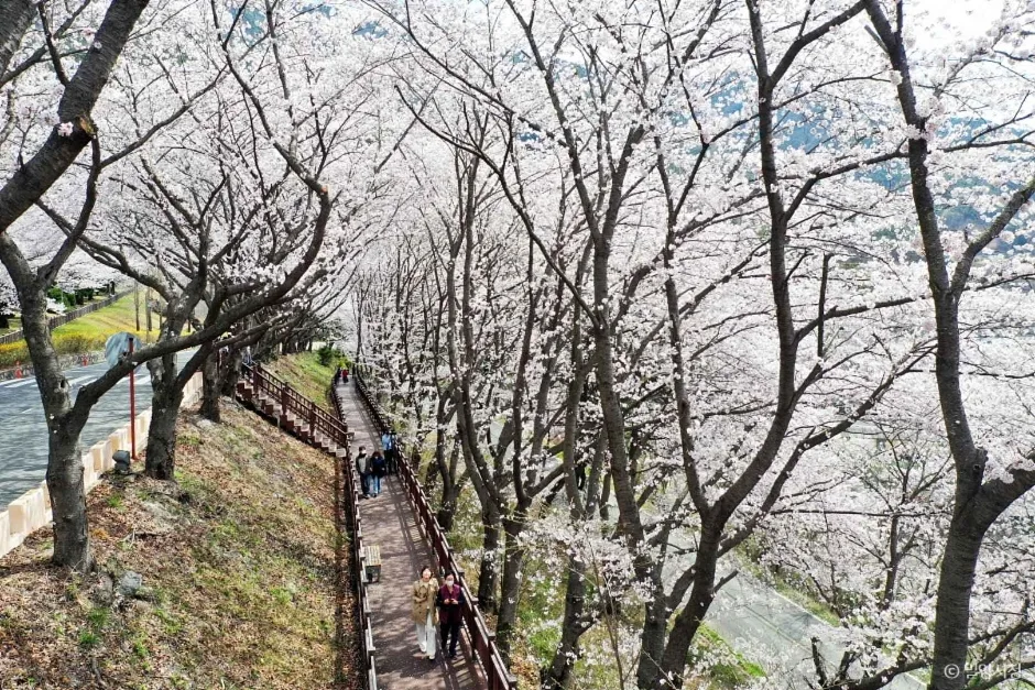 안태공원 (7)