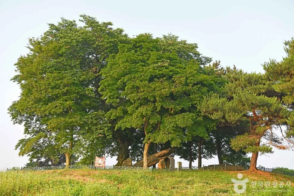 부여 산직리지석묘  (7)