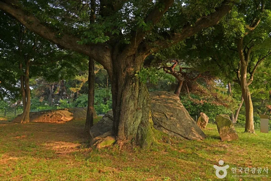 부여 산직리지석묘  (5)