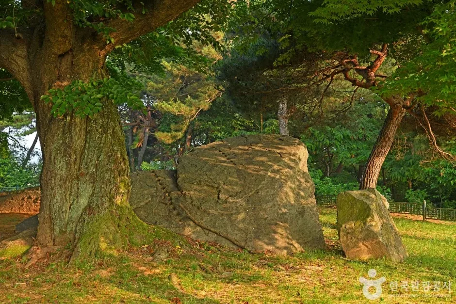 부여 산직리지석묘  (6)