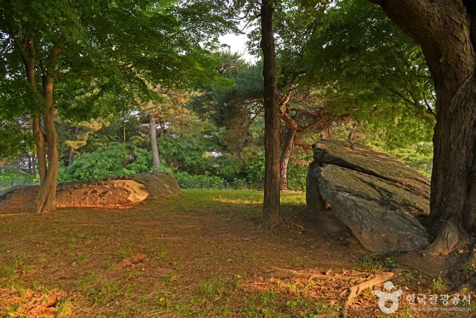 부여 산직리지석묘  (4)