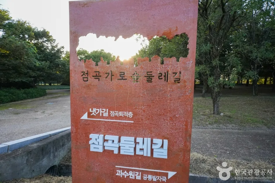 경북_의성_의성 사촌리 가로숲_12_e