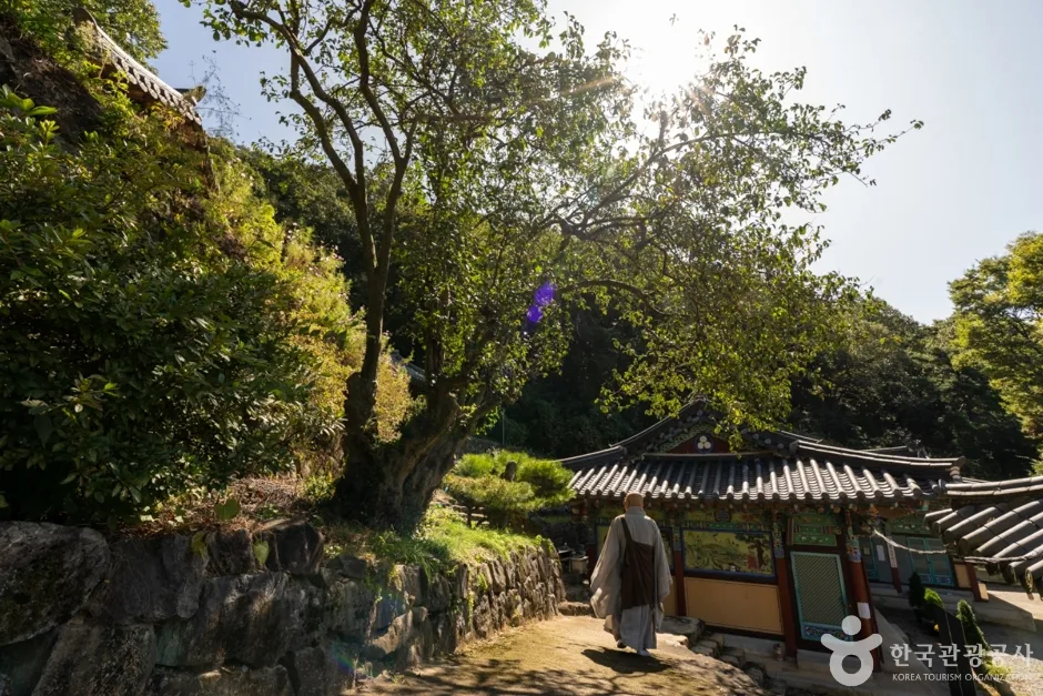 경북_칠곡_도덕암(칠곡) (4)