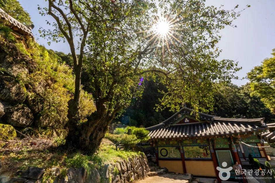 경북_칠곡_도덕암(칠곡) (7)