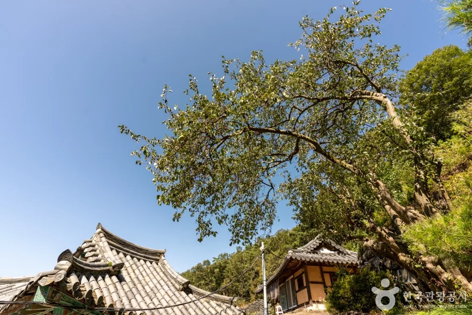 경북_칠곡_도덕암(칠곡) (6)