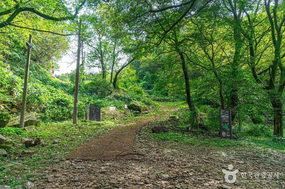 전주_동고산성 (3)