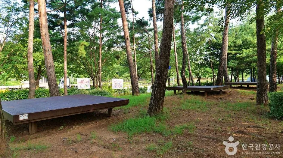 천왕근린공원 (5)