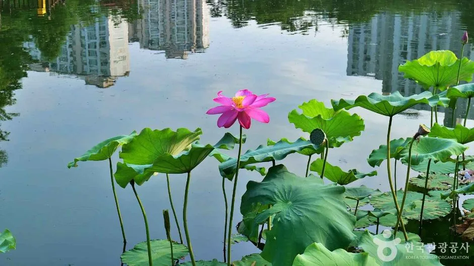 천왕근린공원 (3)