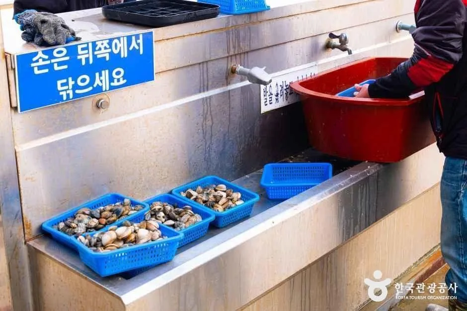 충남_태안_병술만어촌체험마을_체험_4.jpg