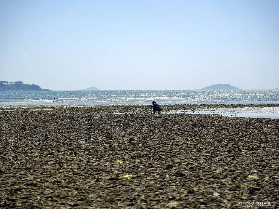 충남_태안_병술만어촌체험마을_체험_6.jpg