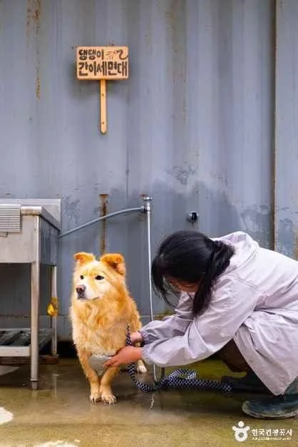 충남_태안_병술만어촌체험마을_체험_3.jpg