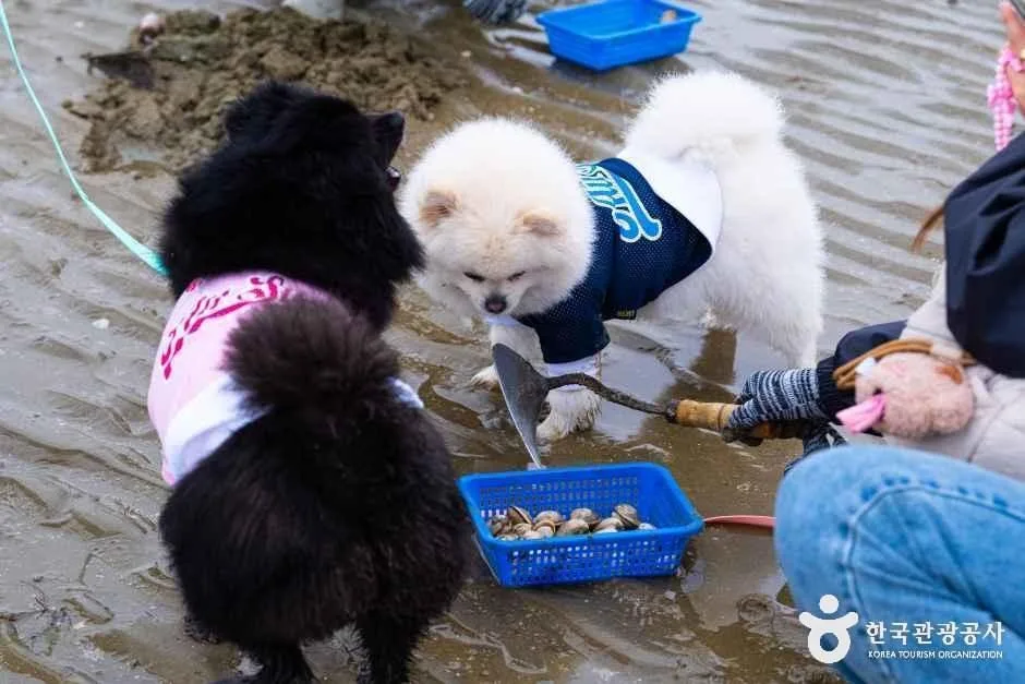태안_병술만어촌체험마을 (2)