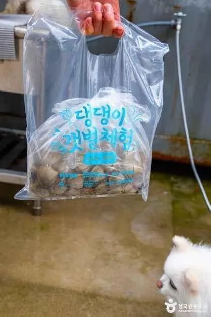 태안_병술만어촌체험마을 (1)