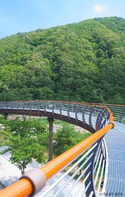 속초 여행 가볼만한곳 강원도 여름휴가 추천_설악향기로_1-7