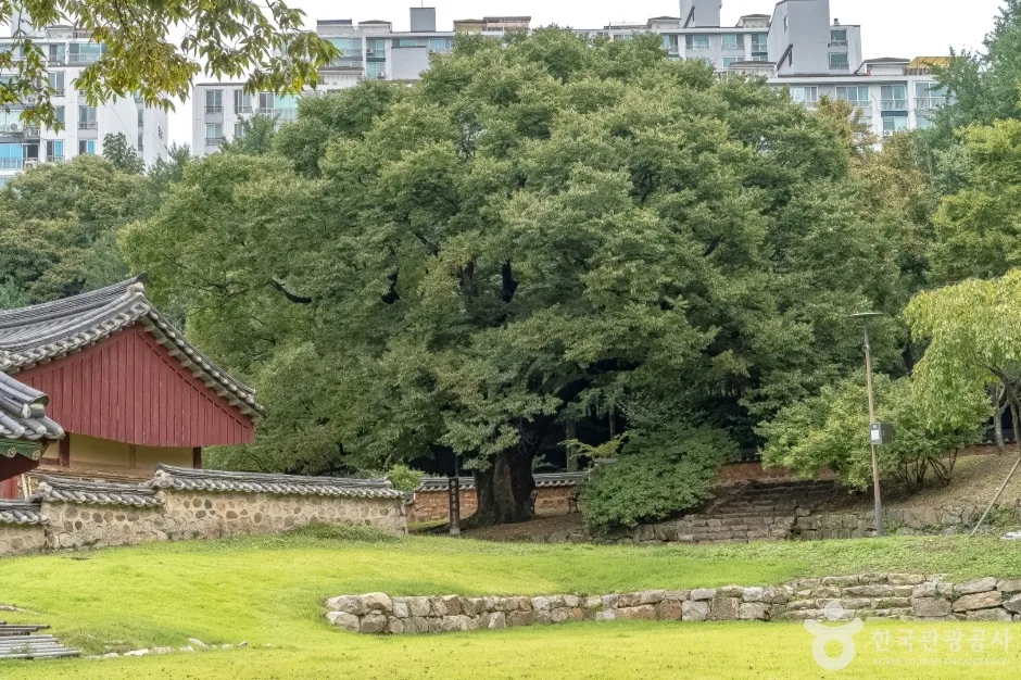심곡서원 (13)