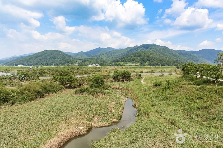 곡성_침실습지 (5)
