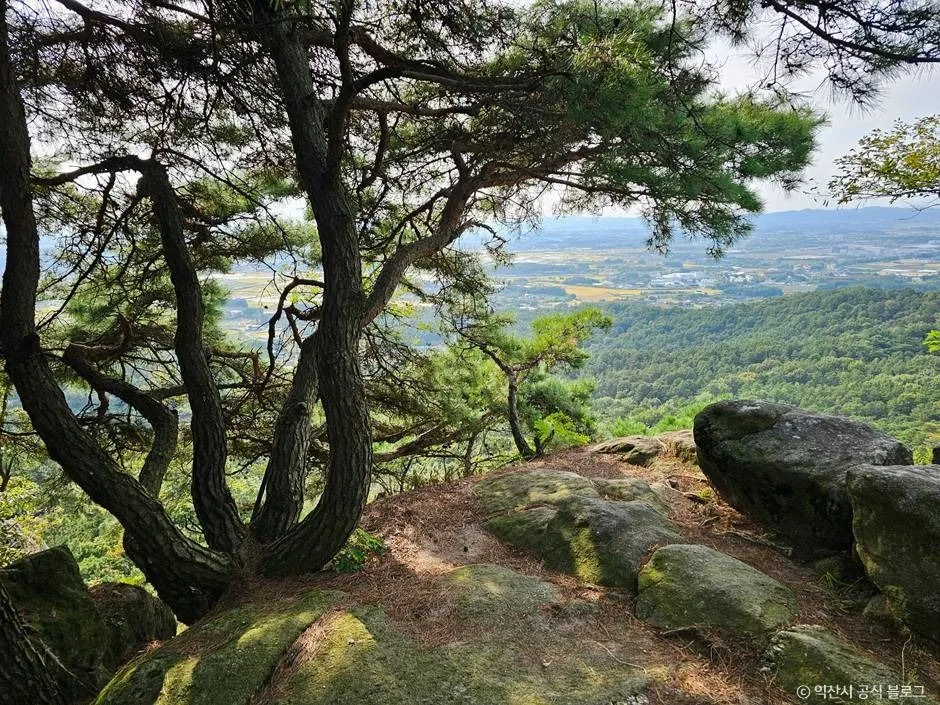 익산_미륵산(익산) (5)