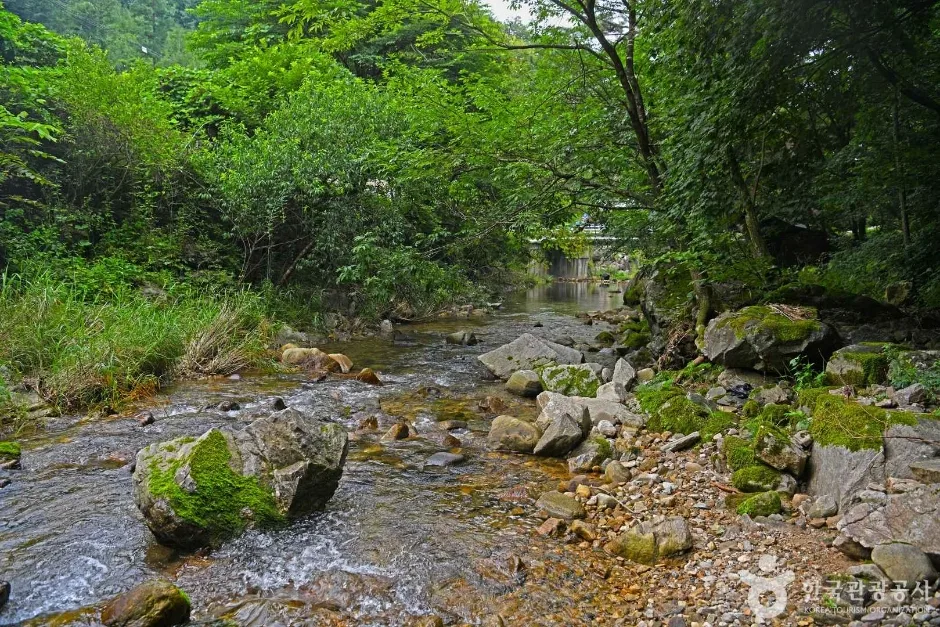 노목계곡 (5)