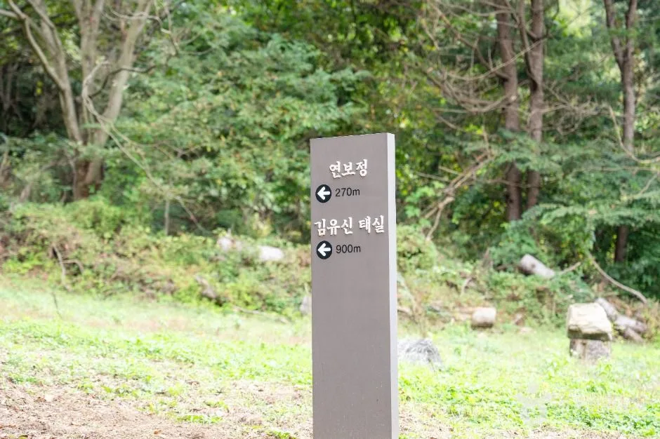 진천_진천 김유신 탄생지와 태실 (3)