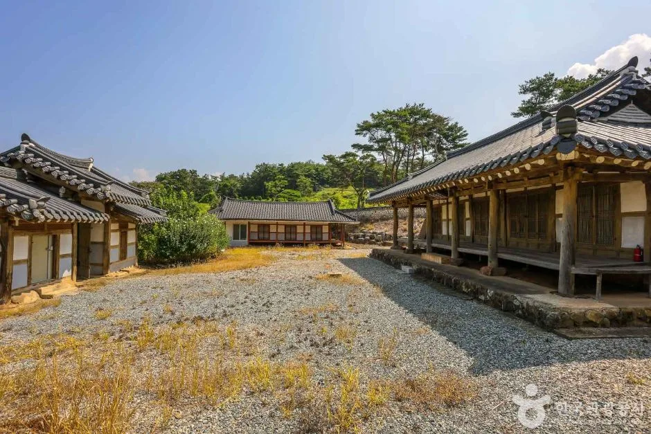 오남제 (5)