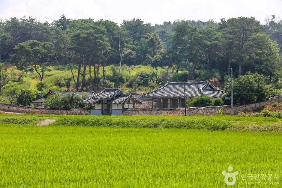 오남제 (2)