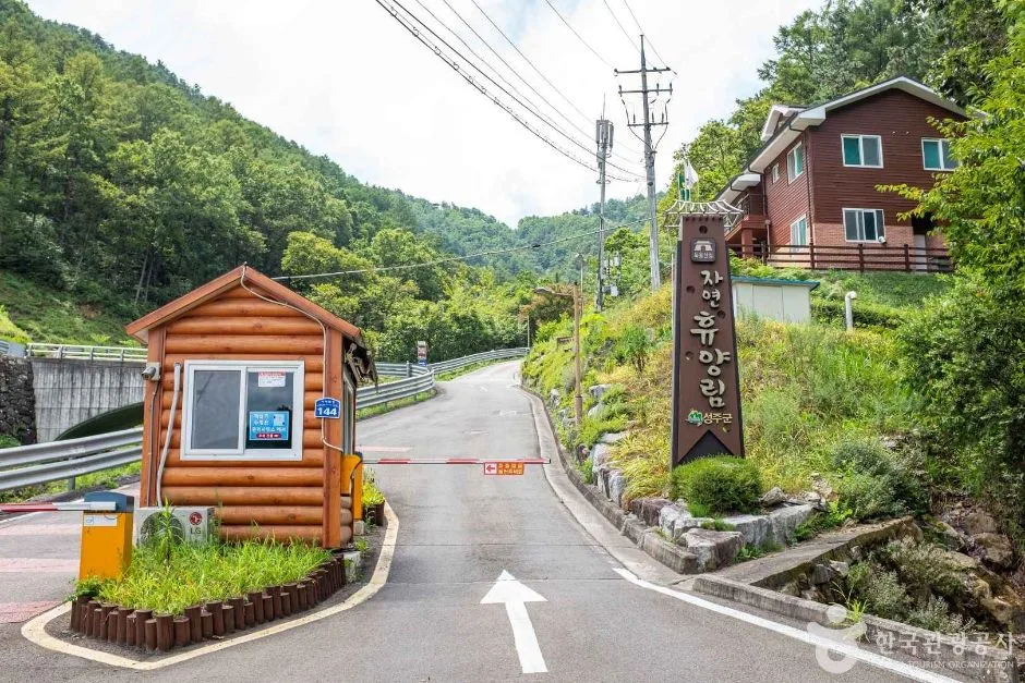 독용산성자연휴양림 (5)