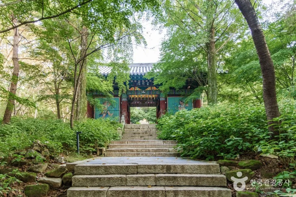 천 년의 시간이 머무는 곳, 예산 역사 여행_충남_예산_수덕사_2.jpg