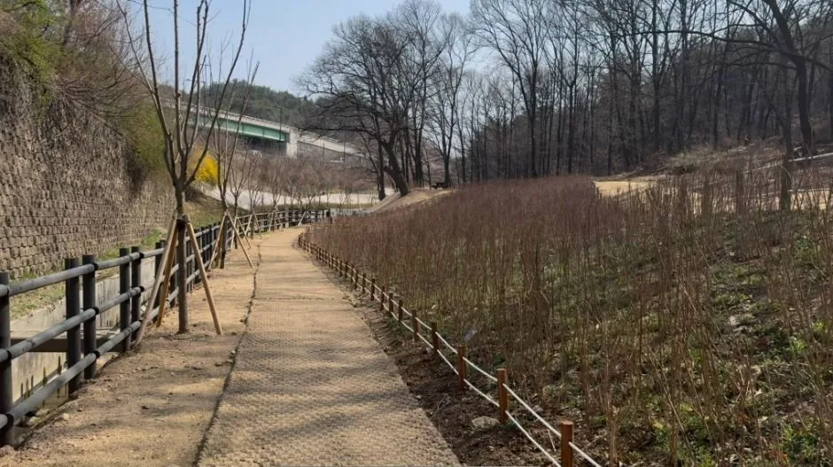장암숲늘풀길 (2)