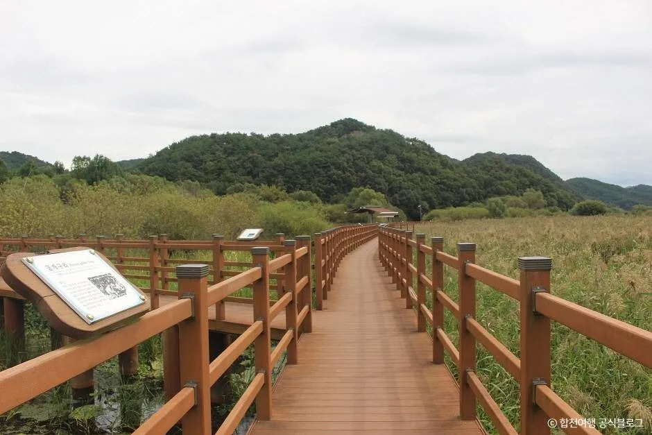 합천_정양늪생태공원 (6)