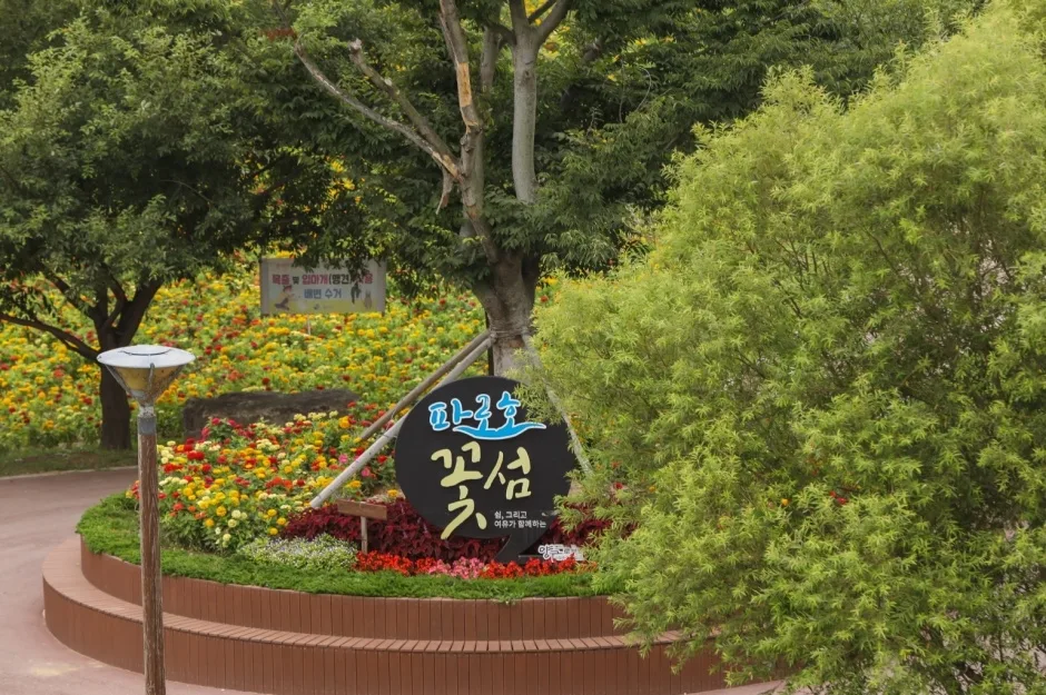 양구꽃섬