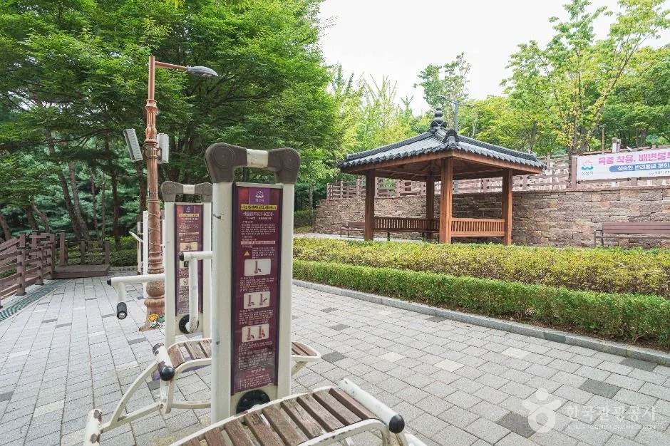 성남_은행공원 (3)